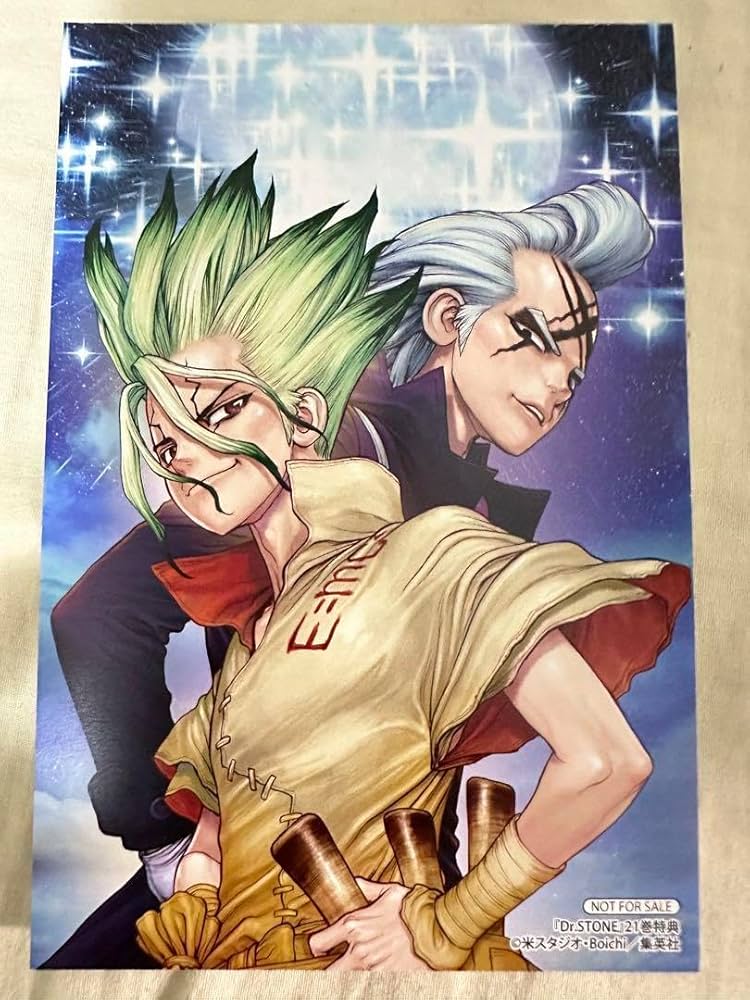 Dr. STONE 21巻セット A1Q3yw9gywS._UF1000,1000_QL80_.jpg